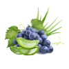 Aloe Grape
