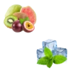 Kiwi Passion Fruit Guava | Cool Mint