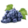 Grapey