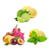 Lemon Peach | Blueberry Ice | Lemon Lime